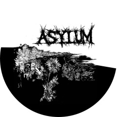 Asylum Motiv 1 HC-Punk USA Anstecker mit Sicherheitsnadel Ø 25mm