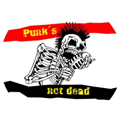 Punk´s Not Dead Motiv 2 Anstecker mit Sicherheitsnadel Ø 25 mm