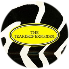 Teardrop Explodes, The Teardrop Explodes Motiv 2 Anstecker mit Sicherheitsnadel Ø 25 mm